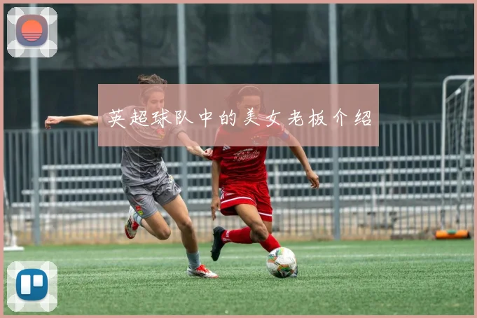 英超球队中的美女老板介绍