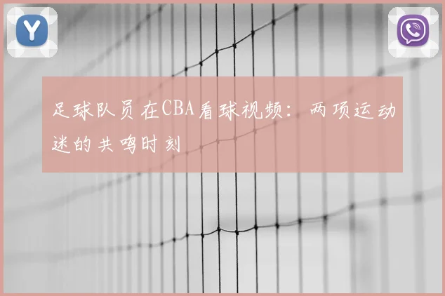 足球队员在CBA看球视频:两项运动迷的共鸣时刻