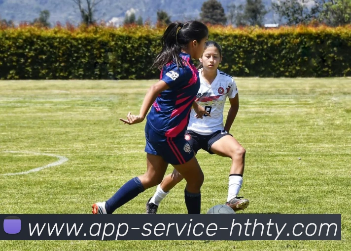 华体会服务体系